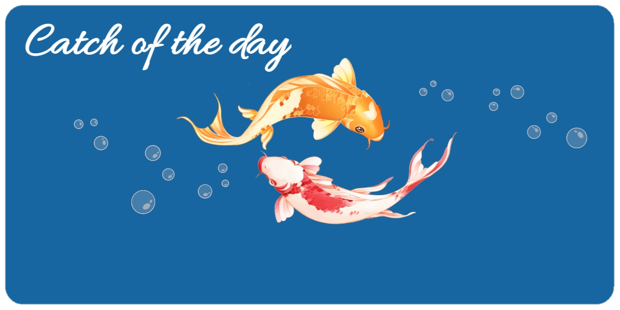 fish shop near me