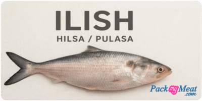 Ilish/Hilsa/ Pulasa Fish